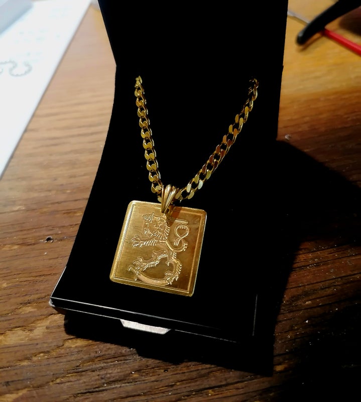 Oma leijona kauniissa rasiassa